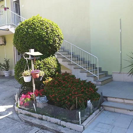 Dajak 1 דוגי ראט