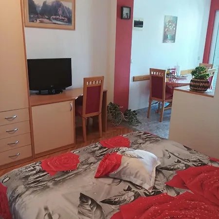 Apartment Dajak 1 *
